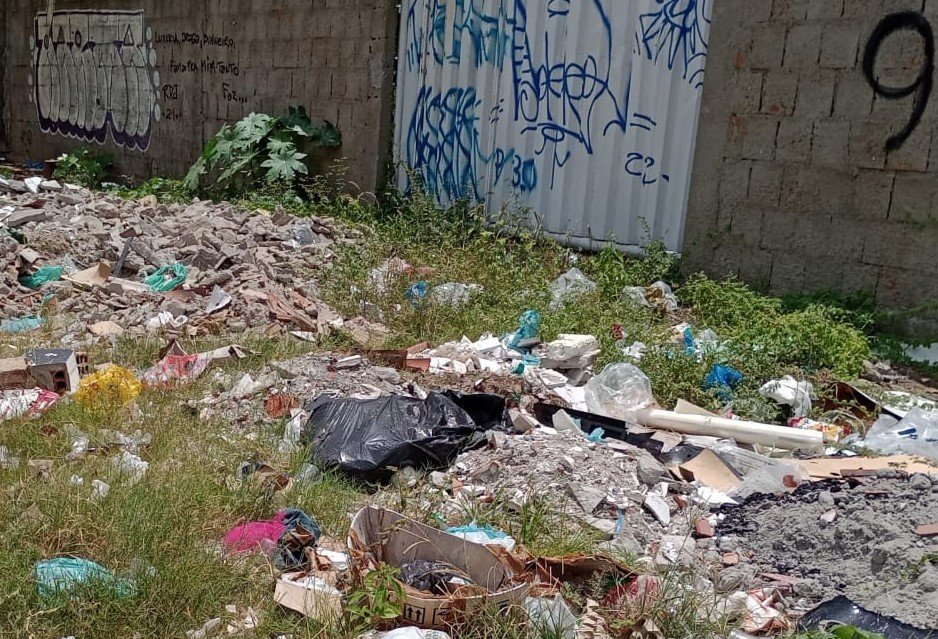 Descarte irregular de lixos em terrenos aumenta risco de proliferação do Aedes aegypti